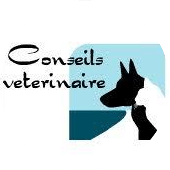 site internet permettant d'avoir des conseils vétérinaires pouvant vous aider au mieux